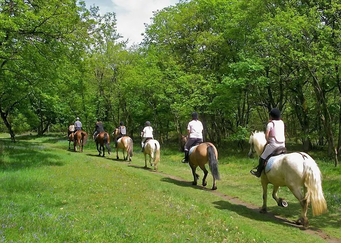 Hotel Le Madrigal Sarlat-la-Canéda